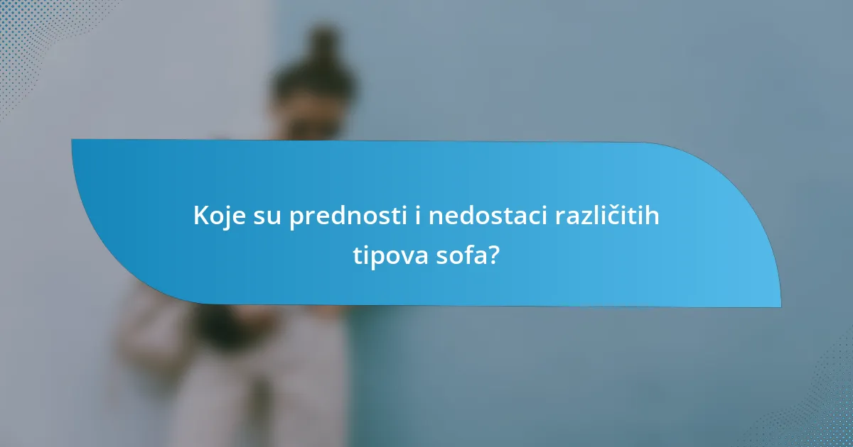 Koje su prednosti i nedostaci različitih tipova sofa?